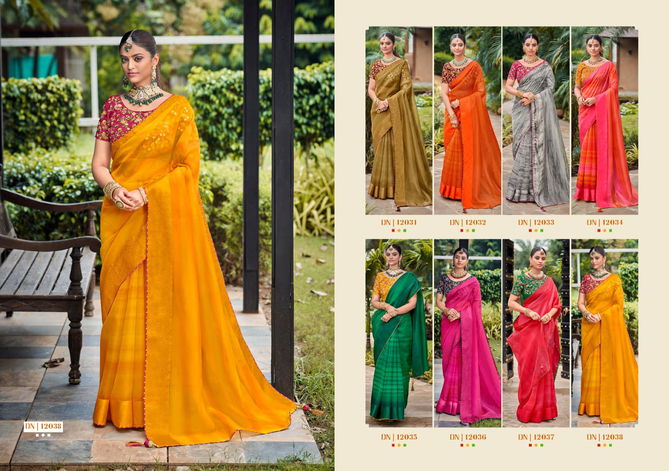 5D Designer Saloni Festive Wear Wholesale Saree Collection